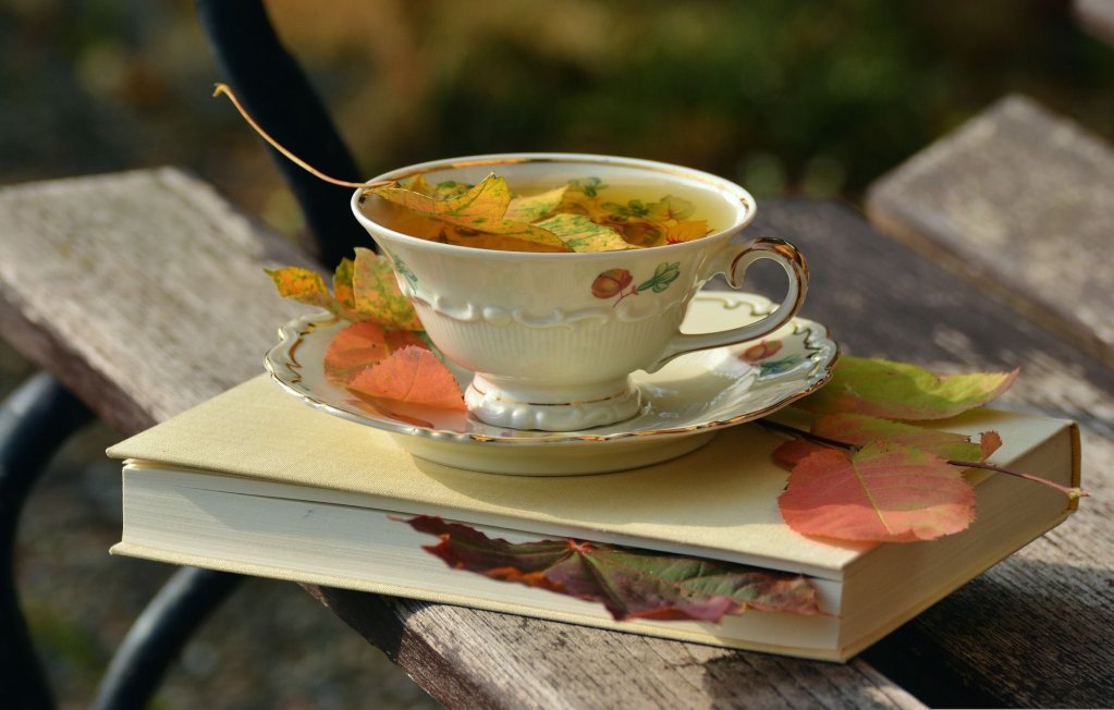 Tetasse_Herbst